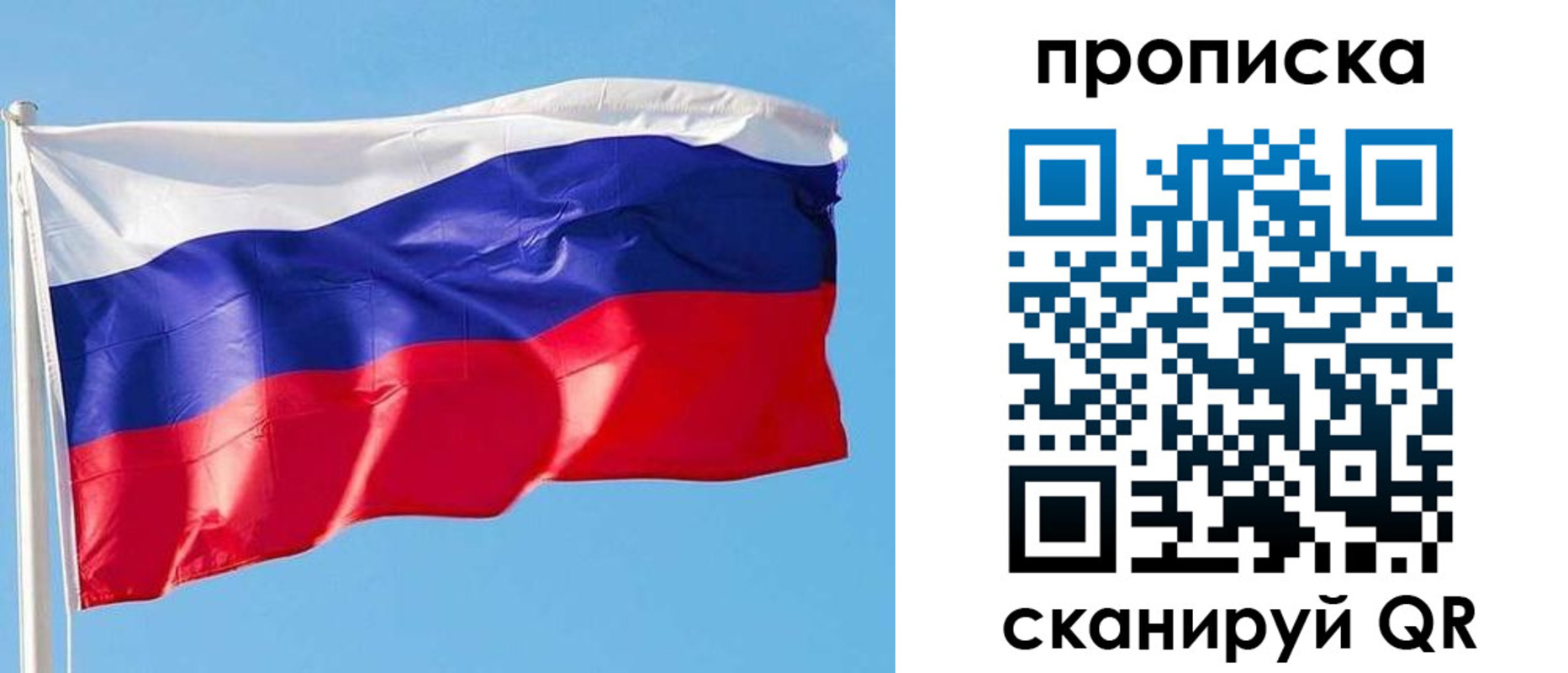 прописка поиск в Химках